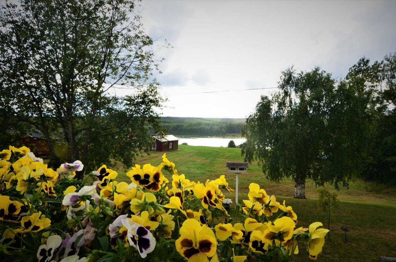 Villa Sisu Överkalix 外观 照片